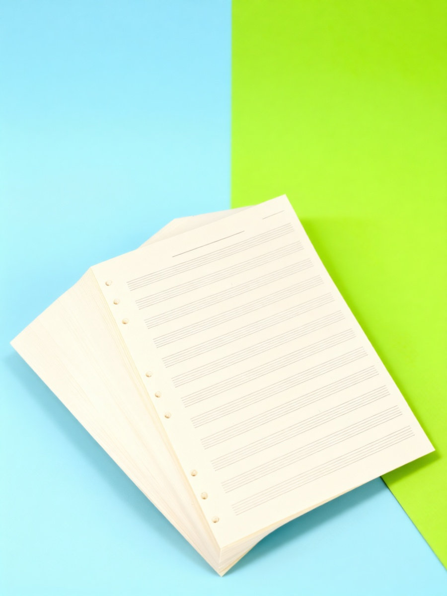 100 Sheets Music Manuscript Pa - Blank Sheet Music Notebook 评论和价格